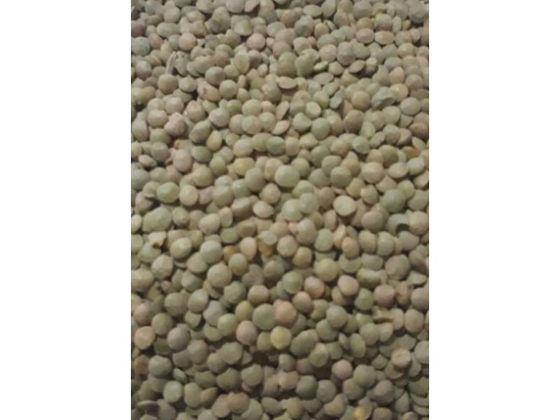 KASTAMONU KÖY MERCİMEĞİ 1 KG